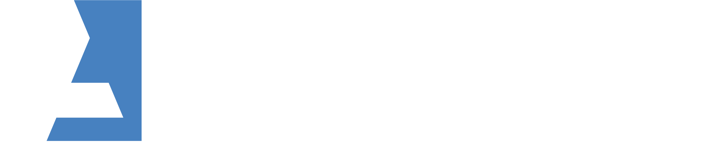 AAP Logo